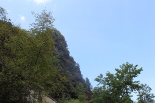 青山绿树间的秀丽景致