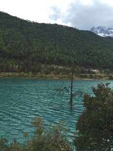 碧绿湖水与远山相映成趣