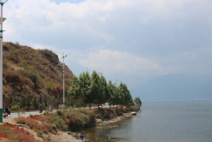 湖畔公路旁的秀丽风光