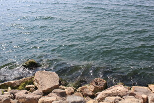 海边礁石与涌动的海水