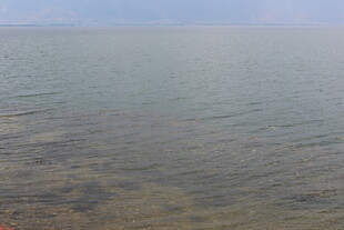 平静湖面 清澈波光粼粼