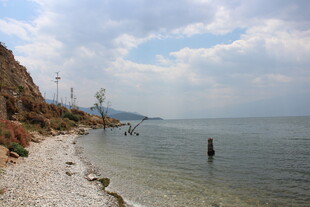 湖畔风光 一人漫步浅滩