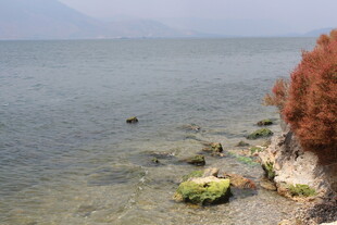 湖畔岸边的自然景致