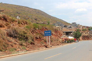 山间公路景 路旁蓝标醒目