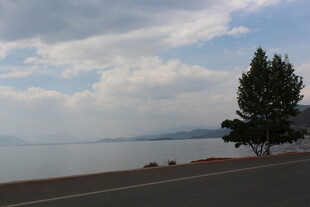 公路旁的湖景与孤树