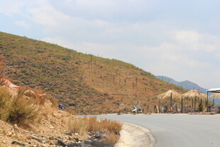 山间公路旁的自然风光