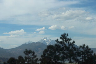 山间松景与远处山峦
