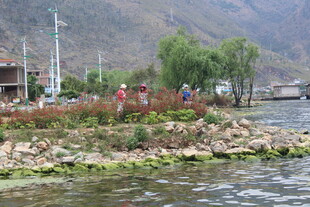 河畔风光 岸边景致宜人