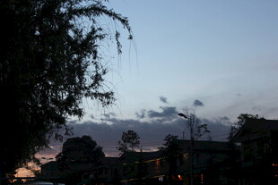 黄昏下的树木与朦胧天空