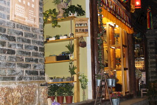 古巷中的温馨绿植小店
