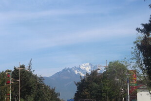 远山近树的自然景致