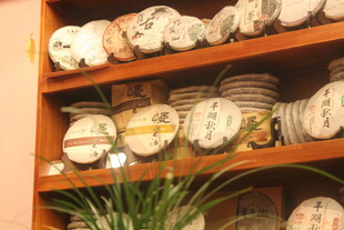 木质架上陈列的多样茶饼