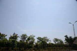 蓝天绿树旁的路灯景象