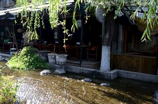 江南水乡庭院清幽景致