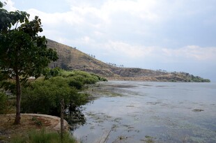 河畔自然风光美景