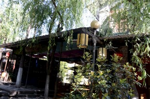 绿荫下的古朴小屋