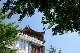中式楼阁隐于绿树蓝天间