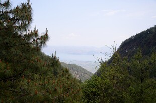 山林间远眺海景风光