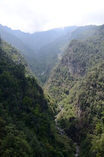 山间翠绿峡谷美景