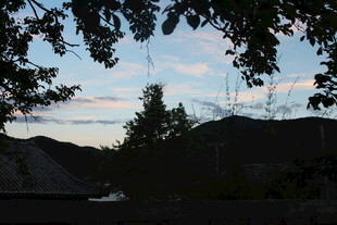 黄昏山林间的静谧景致