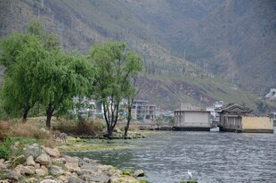 湖畔村落 山水相依之景