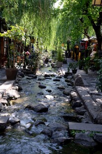 溪边石径 静谧自然景致