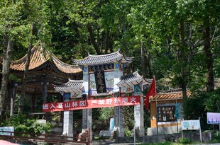 古雅牌坊隐于葱郁林间