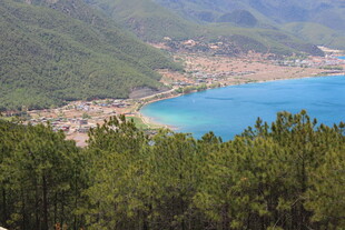 山间蓝湖旁的葱郁森林