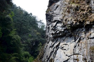 陡峭岩壁旁的葱郁山林