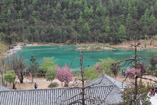 湖畔古景 青山绿水相映
