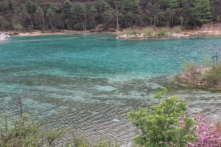 清澈蓝绿湖水畔的自然美景