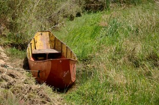 废弃小船静卧草地