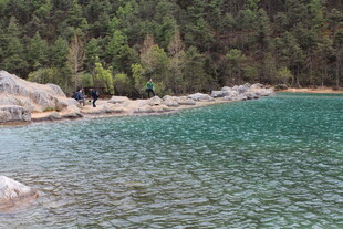 清澈湖畔的自然美景