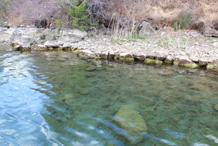 清澈水边的自然景致