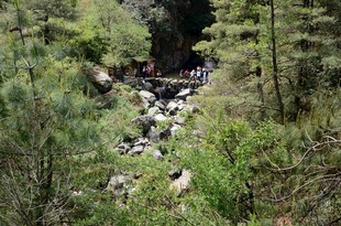 山间溪流旁的自然景致