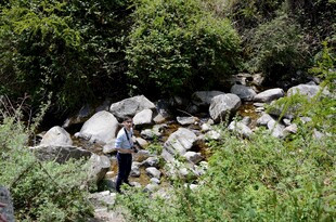 溪边男子置身自然美景中