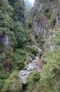 山间溪流穿于葱郁峡谷
