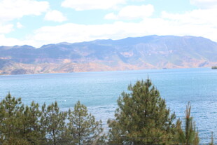 湖畔绿树与远山美景