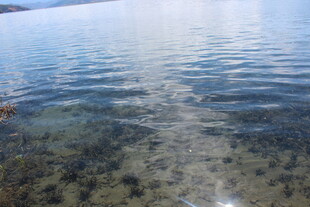 清澈湖水与水底景象