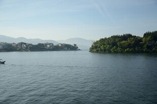 宁静湖景 孤舟伴绿意