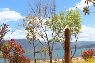 山间多彩树木与蓝天美景