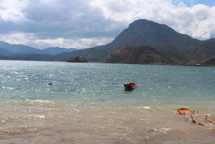 湖畔风光 水中嬉戏场景