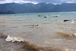 海边波浪与远处山峦景色