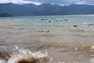 海边浪花与远处山峦景色