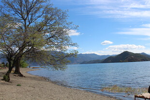 湖畔风光 宁静自然景致