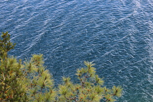 俯瞰碧海与岸边绿植