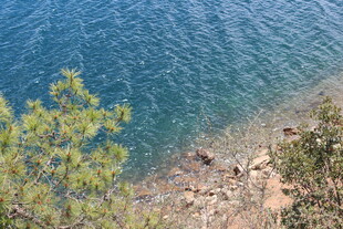 湖畔绿树与波光粼粼水面