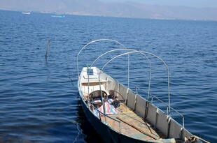 海上渔船 静谧航行时刻