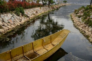 小河上的黄色木舟