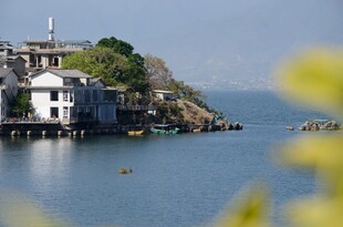 湖畔小屋 静享自然之美